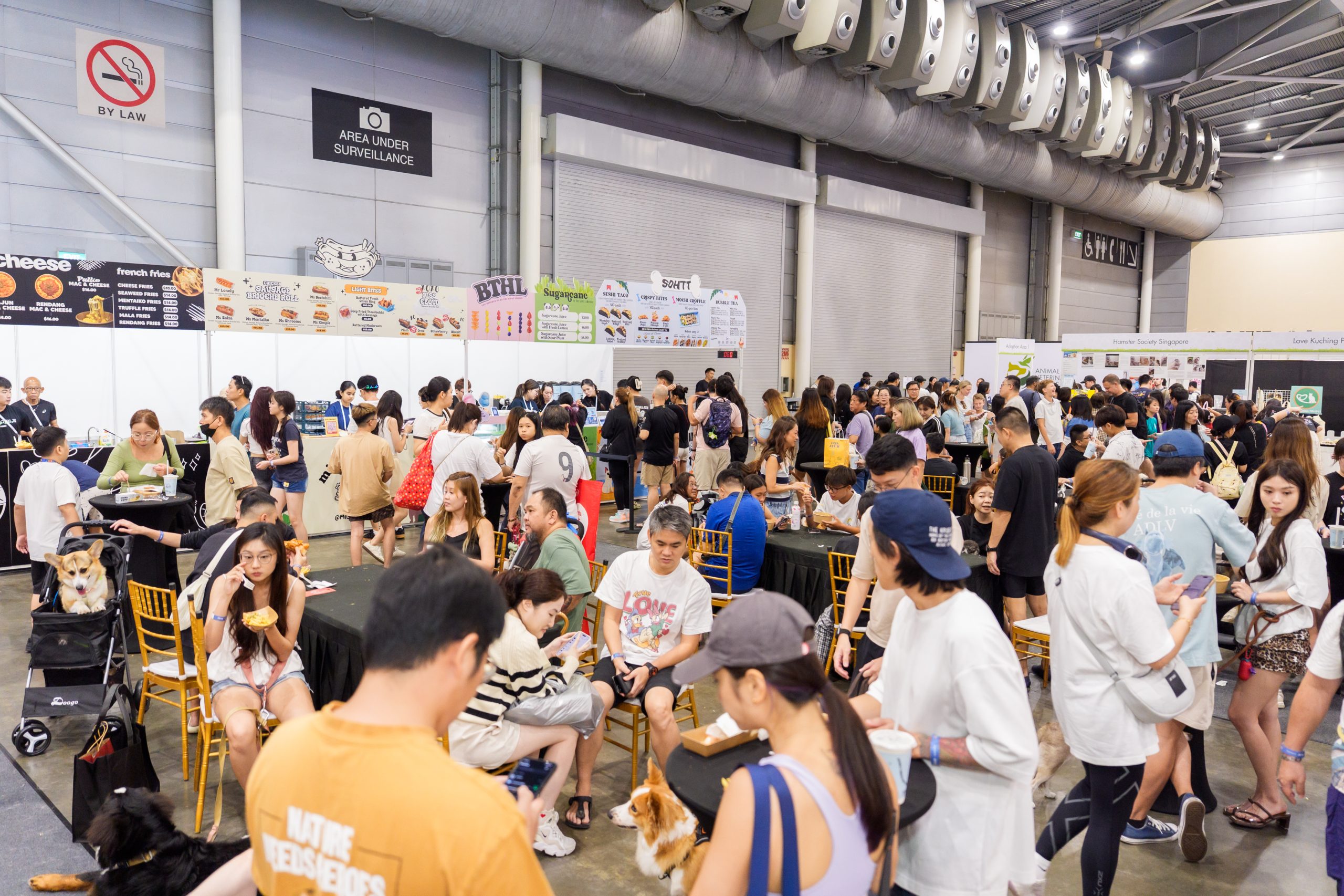 Relax and Dine with Your Pets