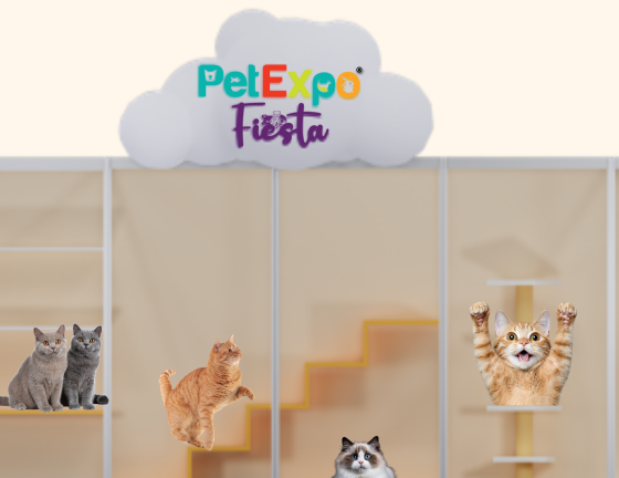 PetExpo Fiesta – Cat Box