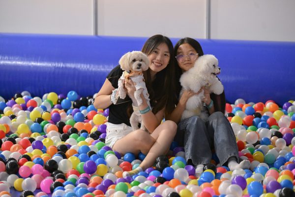 111425 (Sam) Pet Expo Fiesta - 436